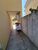 Sobrado, 2 quartos, 95 m² - Foto 18