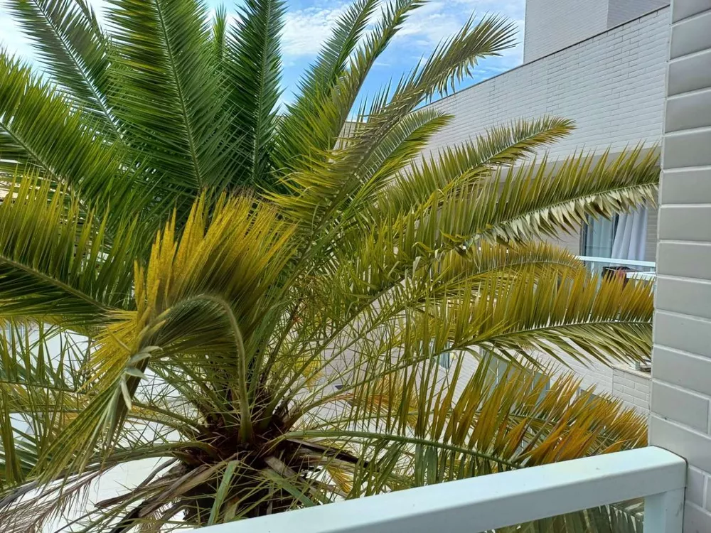 Cobertura, 3 quartos, 82 m² - Foto 17