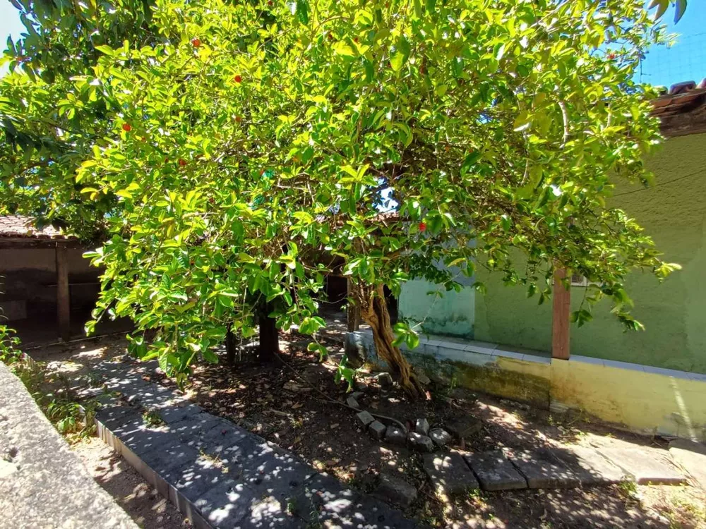 Casa, 3 quartos, 173 m² - Foto 36