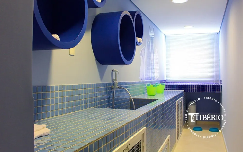 Apartamento, 3 quartos, 76 m² - Foto 12