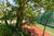 Apartamento, 3 quartos, 260 m² - Foto 11