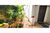 Casa, 2 quartos, 300 m² - Foto 3
