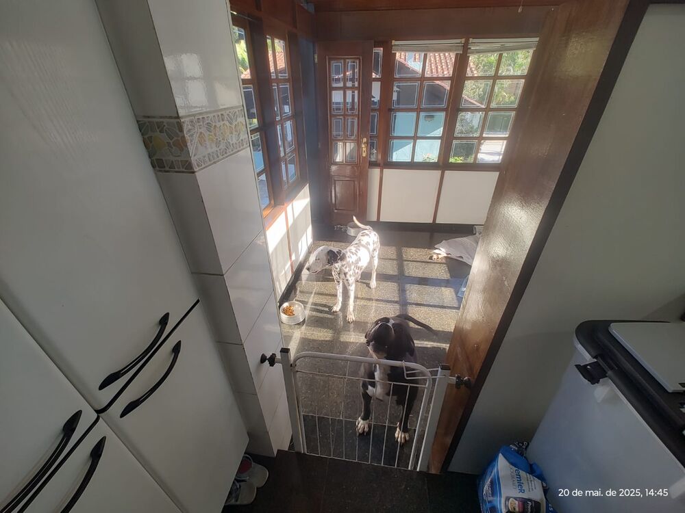 Casa, 5 quartos, 379 m² - Foto 48
