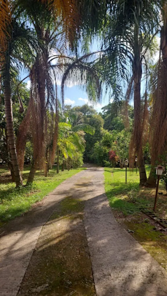 Chácara, 2 quartos, 5625 m² - Foto 16