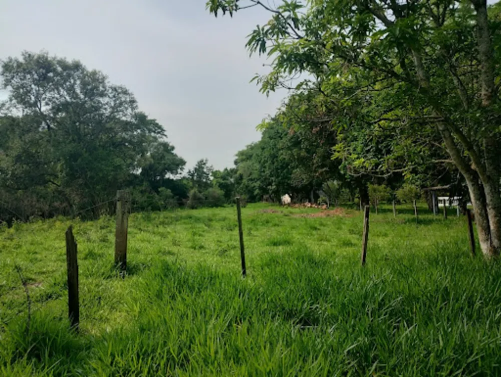 Terreno, 7763 m² - Foto 4