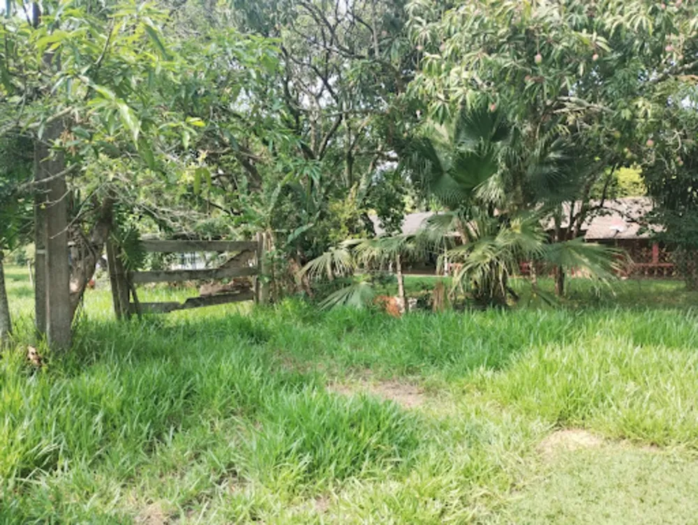 Terreno, 7763 m² - Foto 5