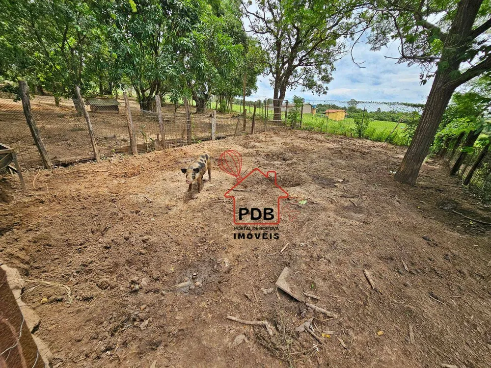 Sítio, 6 quartos, 2 hectares - Foto 8