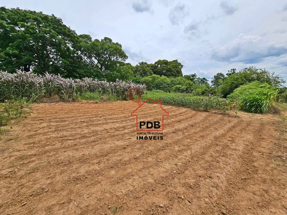 Sítio, 6 quartos, 2 hectares - Foto 4