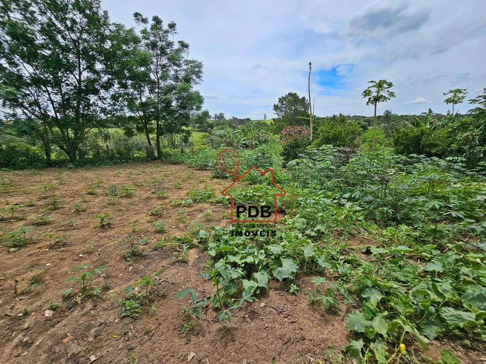 Sítio, 6 quartos, 2 hectares - Foto 7