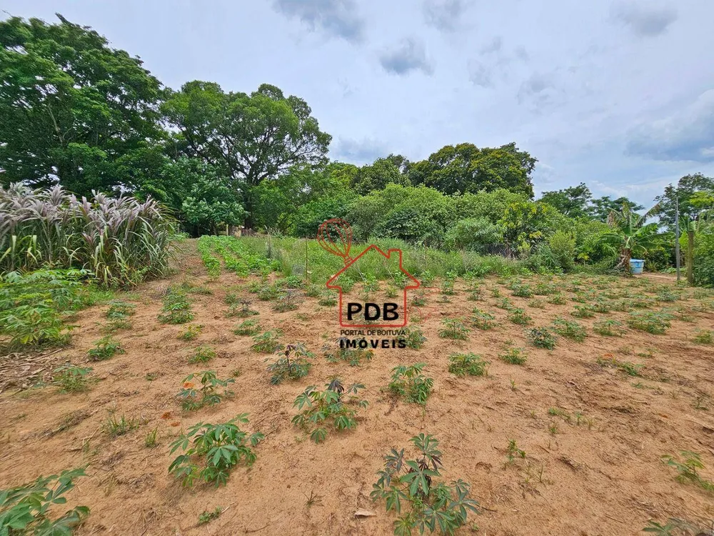 Sítio, 6 quartos, 2 hectares - Foto 6