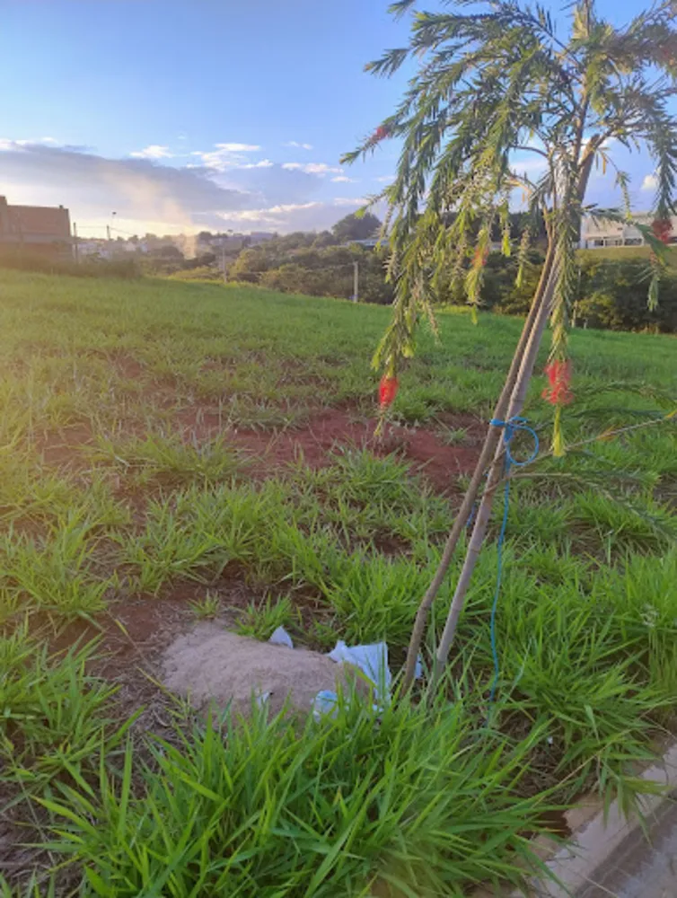 Terreno, 200 m² - Foto 1