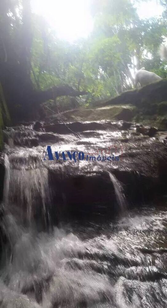 Terreno, 25 hectares - Foto 7