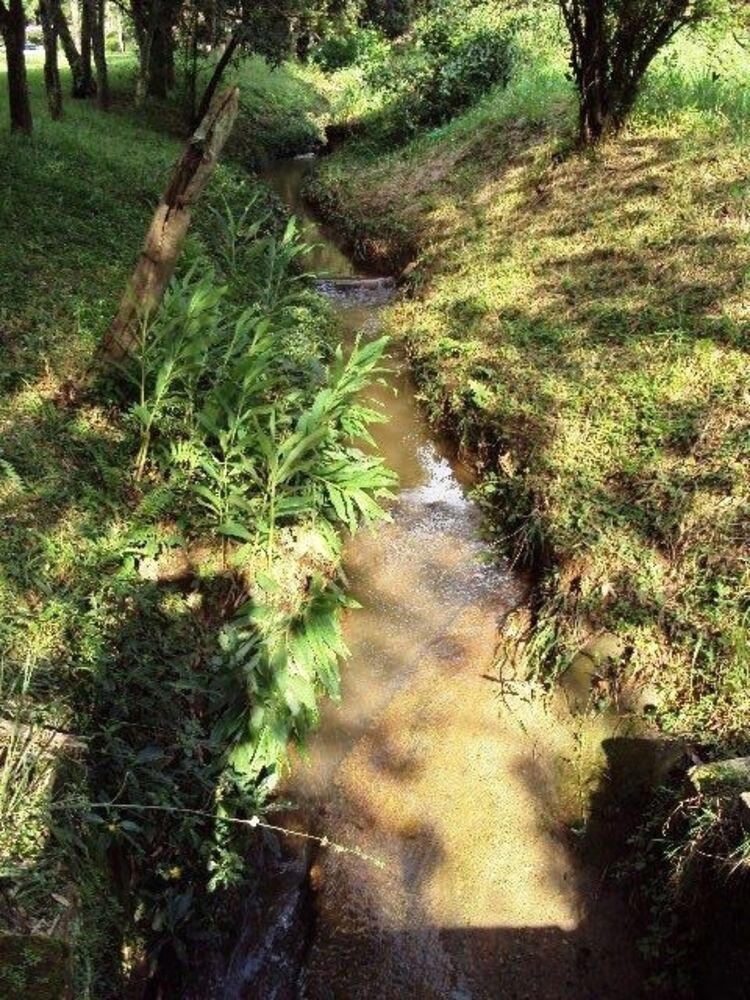 Chácara, 1 quarto, 2 hectares - Foto 1