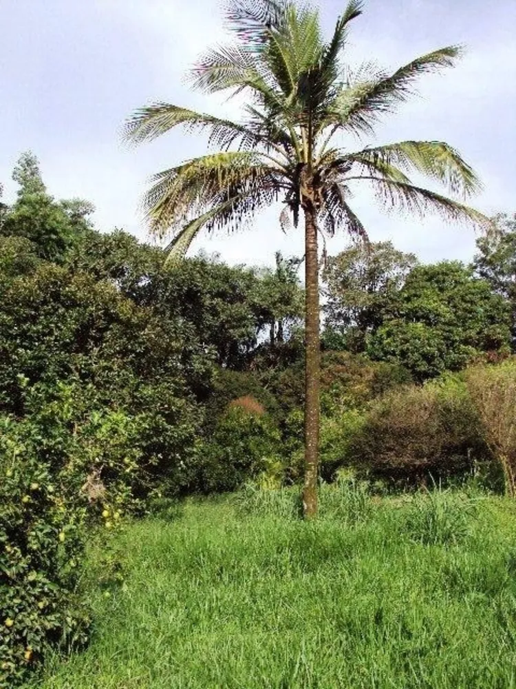 Chácara, 1 quarto, 2 hectares - Foto 1