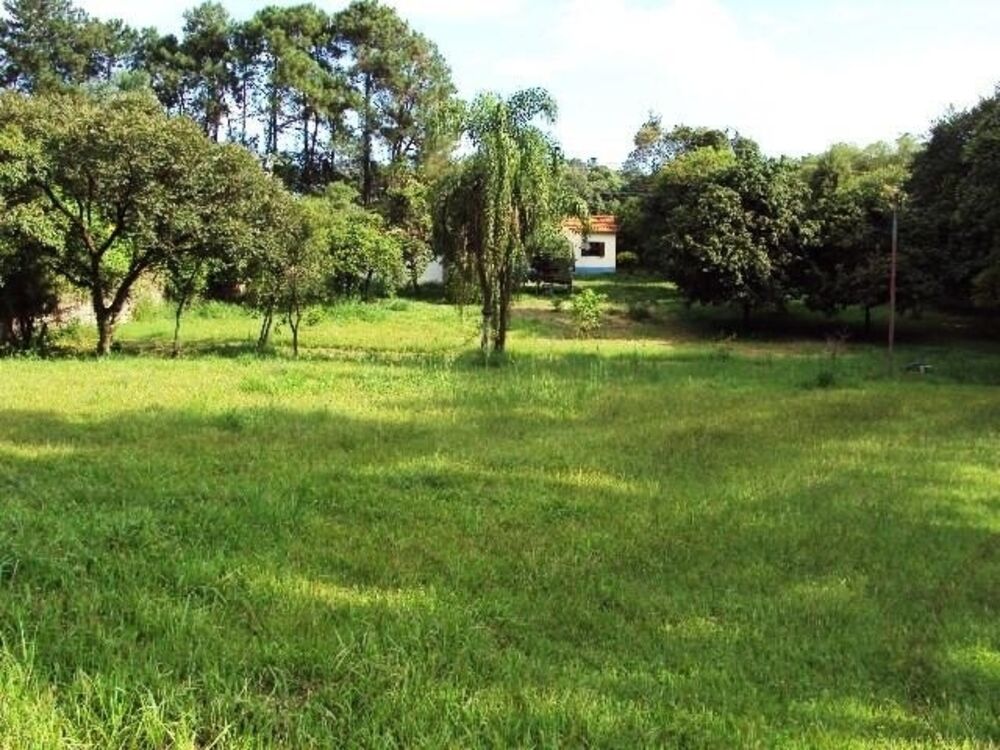 Chácara, 1 quarto, 2 hectares - Foto 4