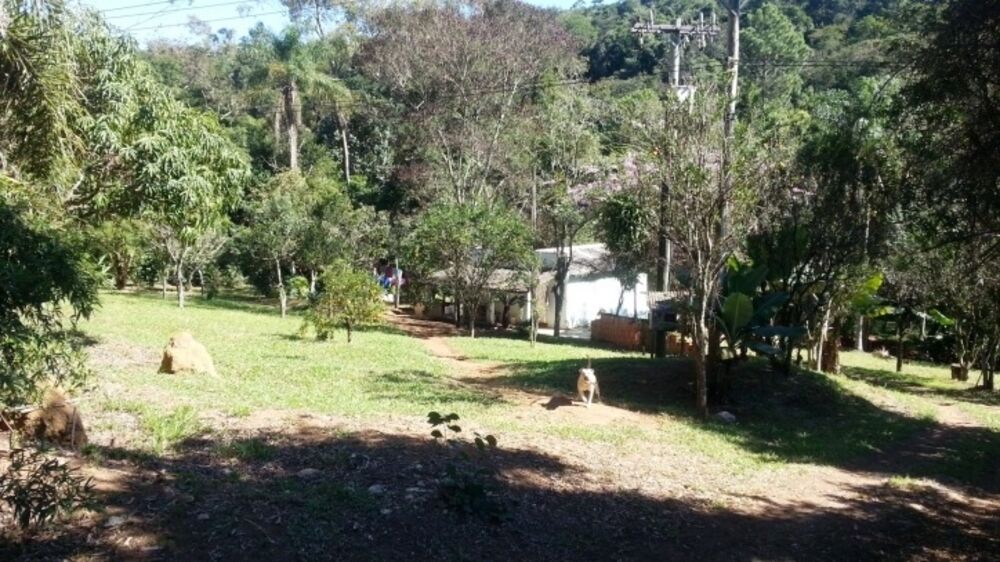 Terreno, 4377 m² - Foto 2