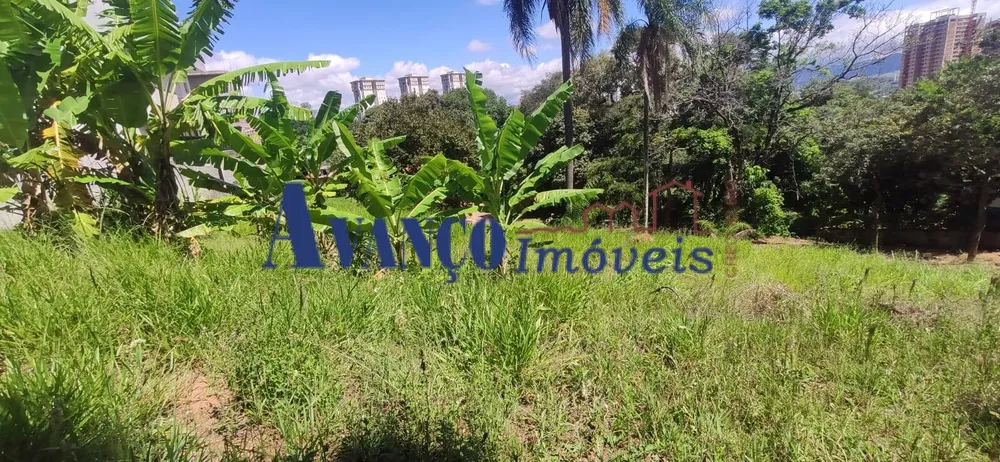 Terreno, 260 m² - Foto 5