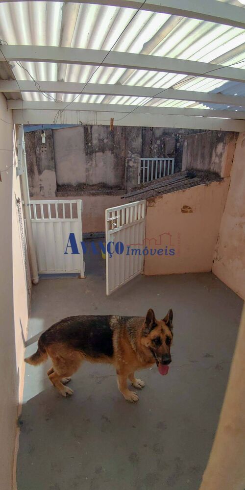Casa, 3 quartos, 262 m² - Foto 23