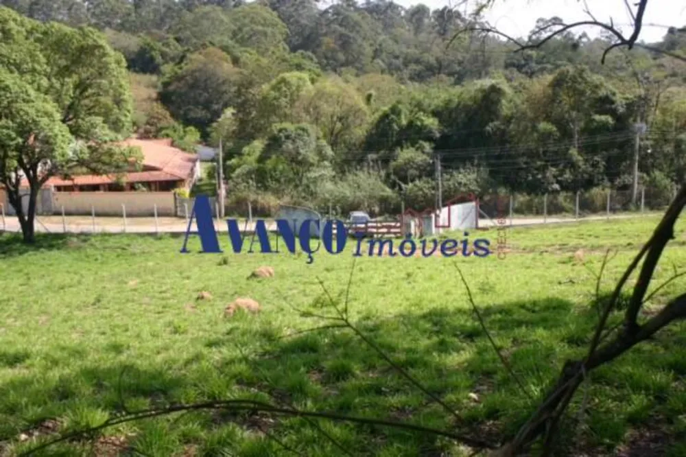 Terreno, 2 hectares - Foto 10