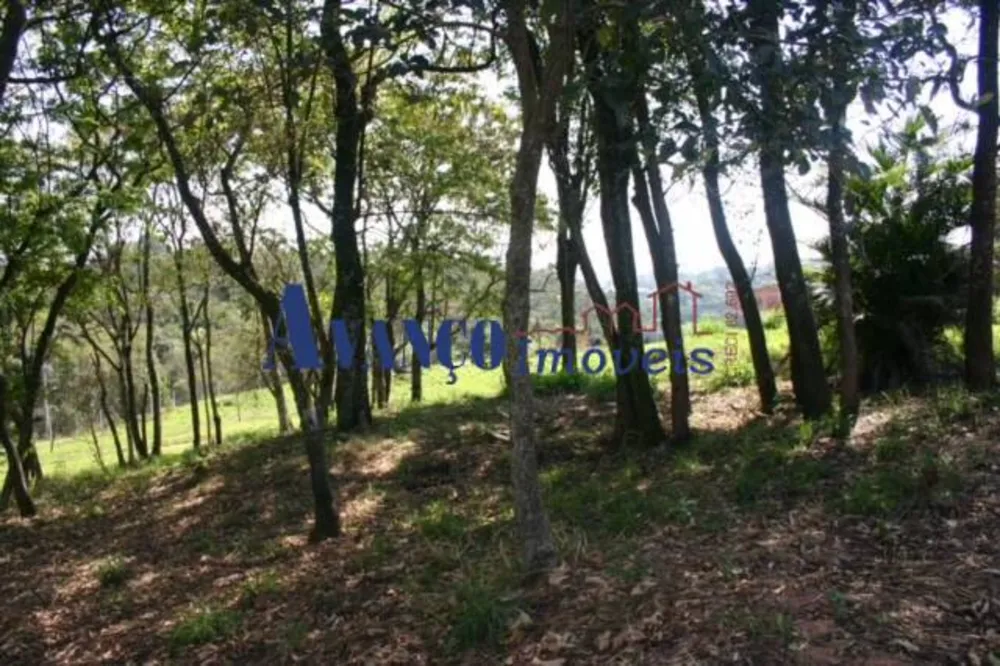 Terreno, 2 hectares - Foto 7