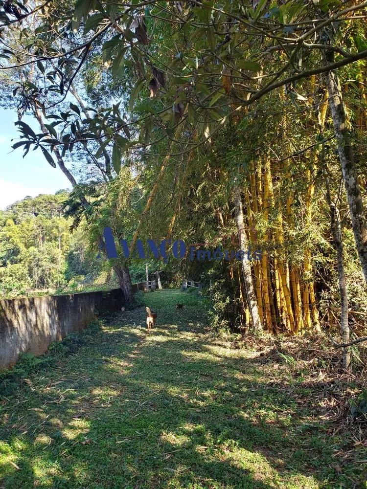 Sítio, 3 quartos, 10 hectares - Foto 6