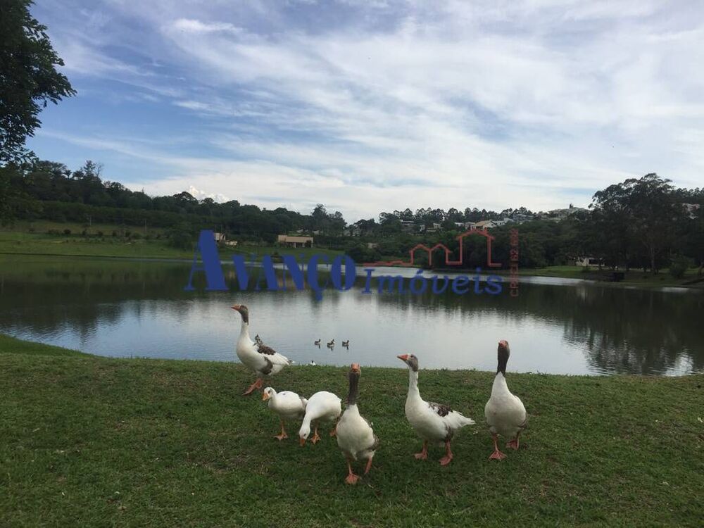 Terreno, 1000 m² - Foto 4