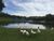 Terreno, 1000 m² - Foto 4
