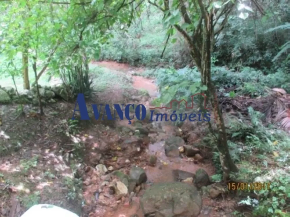 Sítio, 4 quartos, 73 hectares - Foto 15