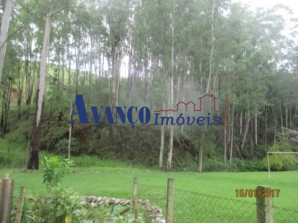 Sítio, 4 quartos, 73 hectares - Foto 5