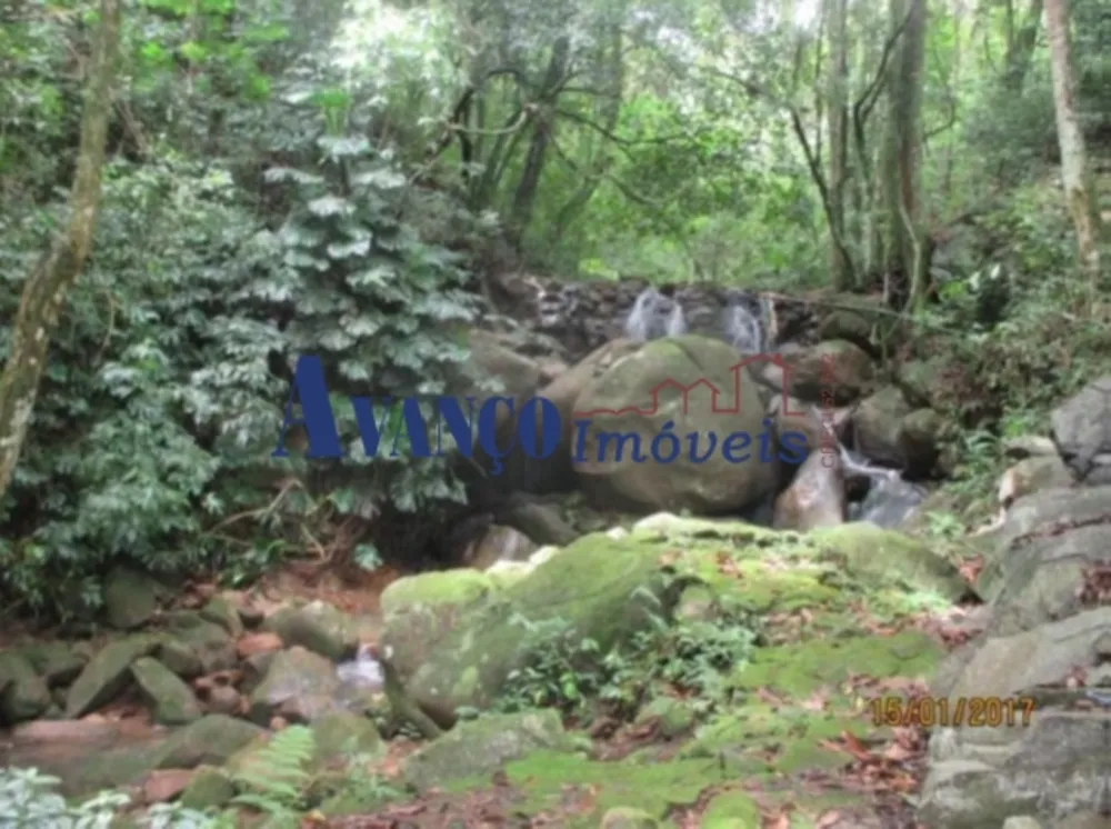 Sítio, 4 quartos, 73 hectares - Foto 11
