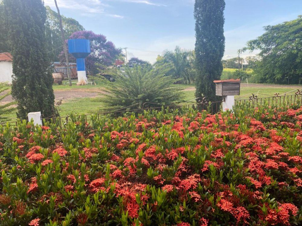Fazenda à venda, 353m² - Foto 4