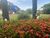 Fazenda-Sítio-Chácara, 353 hectares - Foto 4