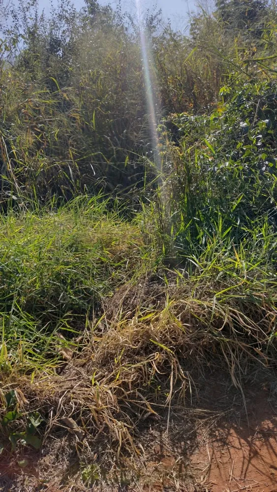 Terreno, 1000 m² - Foto 4