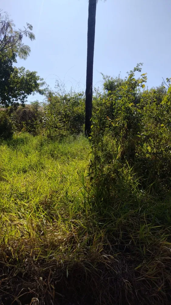 Terreno, 1000 m² - Foto 1