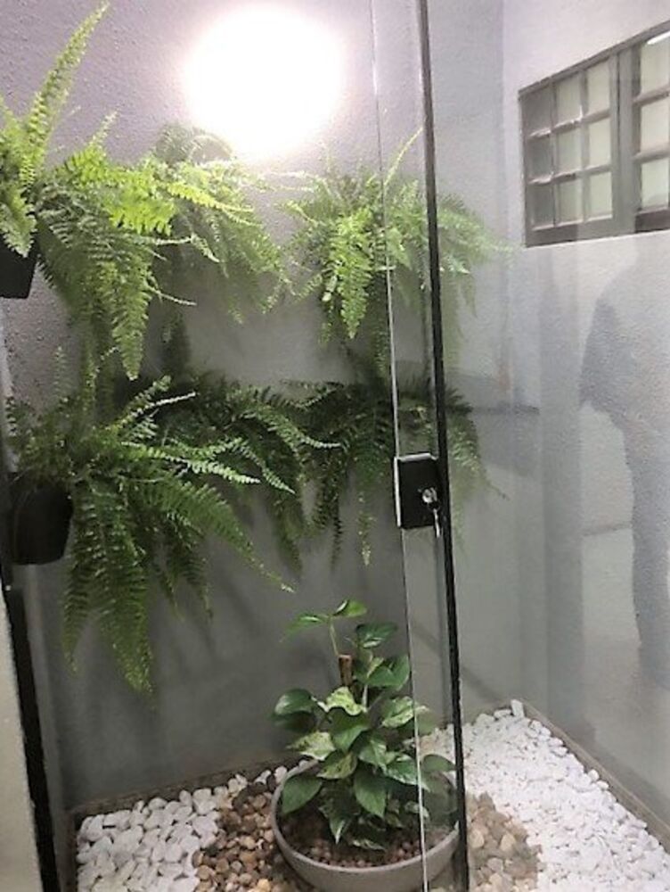 Apartamento, 3 quartos, 300 m² - Foto 1