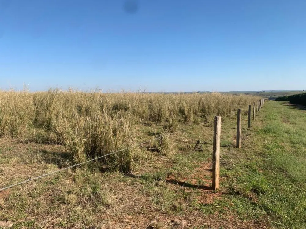 Fazenda, 450 m² - Foto 5