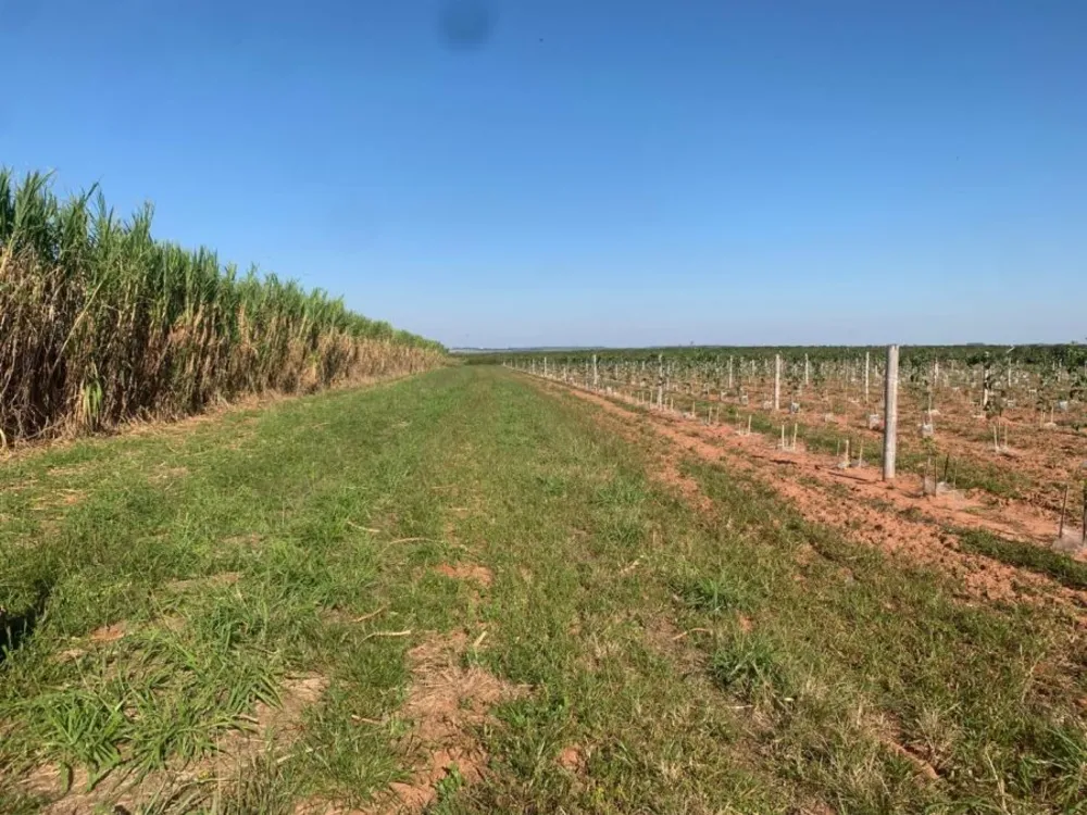 Fazenda, 450 m² - Foto 4