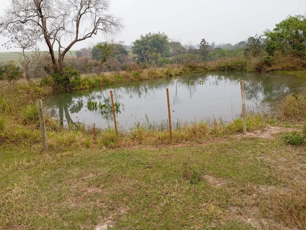 Chácara, 2 hectares - Foto 1
