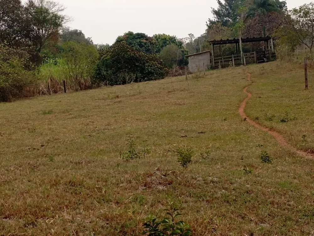 Chácara, 2 hectares - Foto 4