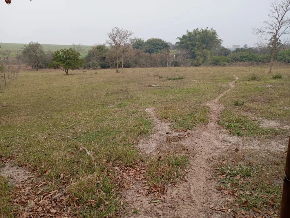 Chácara, 2 hectares - Foto 6