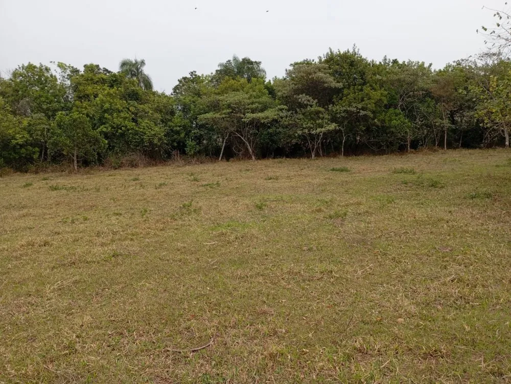 Chácara, 2 hectares - Foto 2