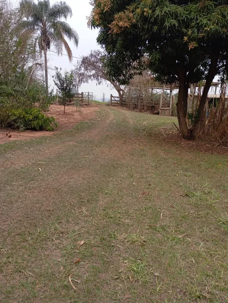 Chácara, 2 hectares - Foto 3