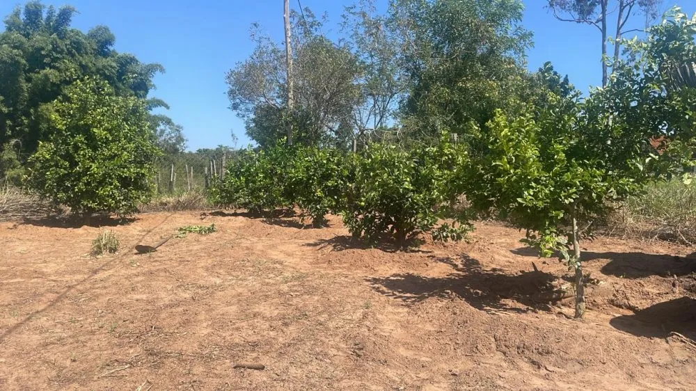 Chácara, 3 quartos, 5 hectares - Foto 7