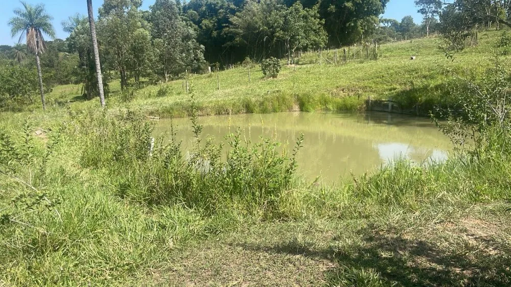 Chácara, 3 quartos, 5 hectares - Foto 3