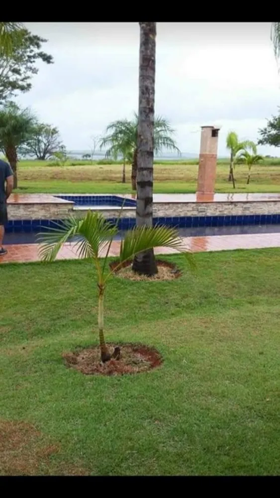 Terreno, 900 m² - Foto 10