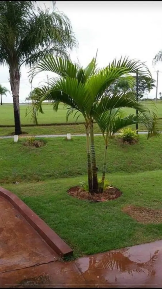 Terreno, 900 m² - Foto 12