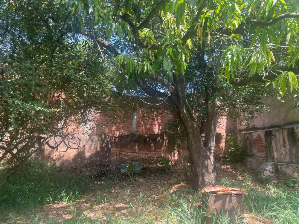 Casa, 2 quartos, 400 m² - Foto 2