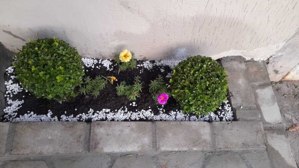 Casa, 4 quartos, 139 m² - Foto 8