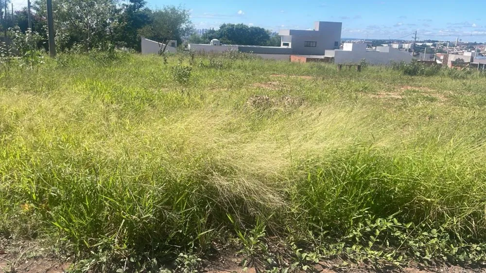 Terreno, 200 m² - Foto 4