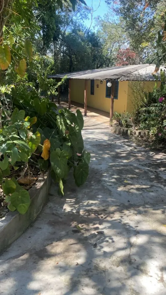 Chácara, 6300 m² - Foto 7
